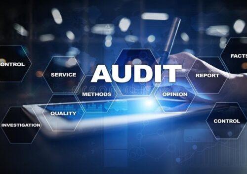 Enjoying the Benefits of Virtual Audit Software